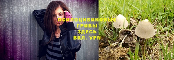 ПСИЛОЦИБИНОВЫЕ ГРИБЫ Липки