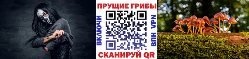 Купить закладки Нарьян-Мар Псилоцибиновые грибы GOLDEN TEACHER
