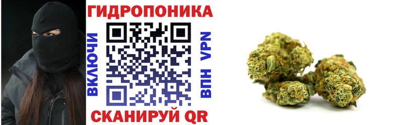 Купить  Нарьян-Мар  Конопля OG Kush 